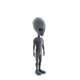 Elvis
