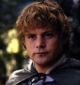 Samwise Gamgee